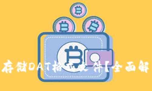 MetaMask能否存储DAT格式文件？全面解析及其应用前景