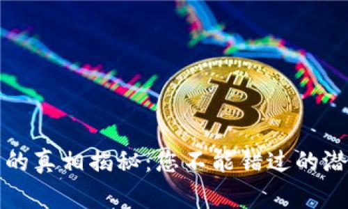 小狐钱包背后的真相揭秘：您不能错过的潜在风险与警示