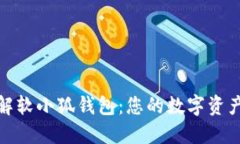 : 深入了解软小狐钱包：您