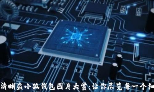 
超清晰盗小狐钱包图片大赏：让你尽览每一个细节