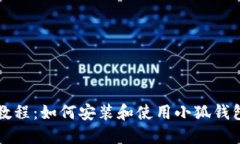 详细教程：如何安装和使