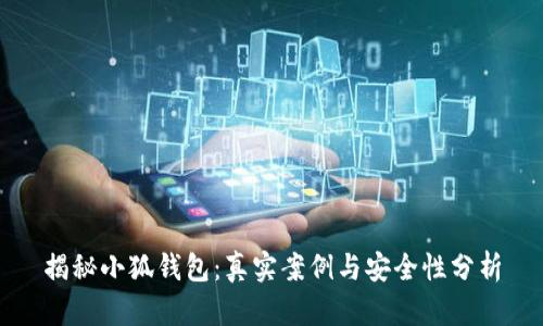 揭秘小狐钱包：真实案例与安全性分析