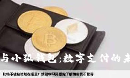 全面解析谷歌与小狐钱包：数字支付的未来趋势与应用