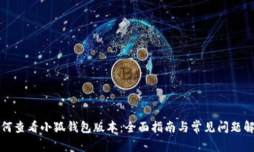 如何查看小狐钱包版本：全面指南与常见问题解答