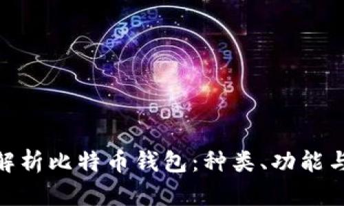: 全面解析比特币钱包：种类、功能与安全性