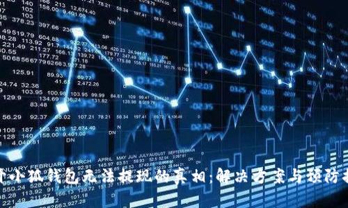 揭开小狐钱包无法提现的真相：解决方案与预防措施