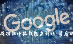 中本聪提币成功但小狐钱
