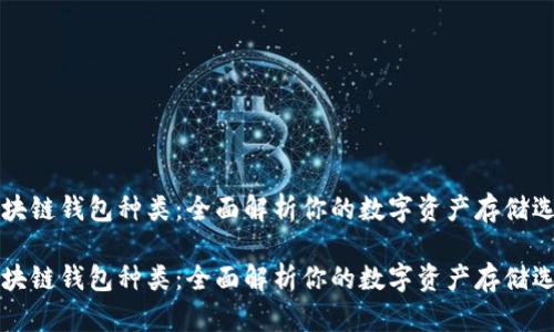 区块链钱包种类：全面解析你的数字资产存储选项

区块链钱包种类：全面解析你的数字资产存储选项