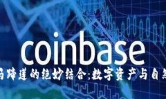 探索小狐钱包与马蹄莲的