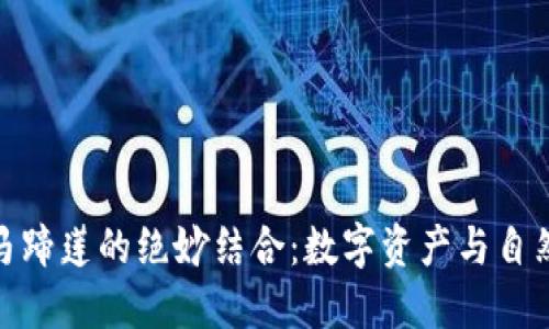 探索小狐钱包与马蹄莲的绝妙结合：数字资产与自然之美的完美融合