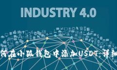 : 如何在小狐钱包中添加USDT：详细指南