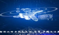 全面解析比特币钱包充值