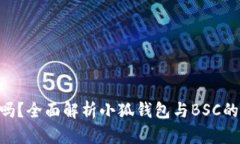小狐钱包支持BSC吗？全面解析小狐钱包与BSC的兼