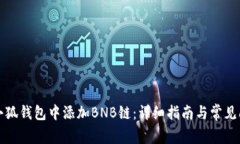 如何在小狐钱包中添加BNB链：详细指南与常见问