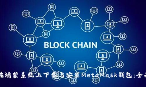 如何在鸿蒙系统上下载与安装MetaMask钱包：全面指南