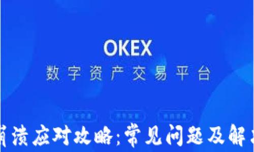 
小狐插件钱包崩溃应对攻略：常见问题及解决方案全面解析