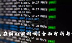 小狐钱包在国内能用吗？全面分析与使用指南