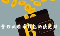 如何高效管理比特币钱包的块更新：全面指南