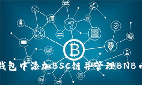 如何在小狐钱包中添加BSC链并管理BNB币的详细指南