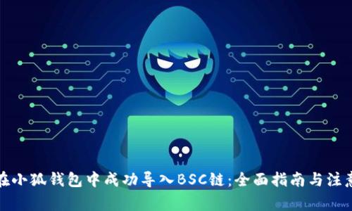 如何在小狐钱包中成功导入BSC链：全面指南与注意事项