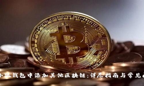 如何在小狐钱包中添加其他区块链：详尽指南与常见问题解析