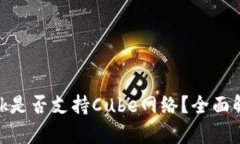 MetaMask是否支持Cube网络？全面解析与指南