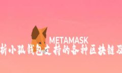 全面解析小狐钱包支持的各种区块链及其特点