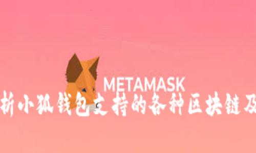 全面解析小狐钱包支持的各种区块链及其特点