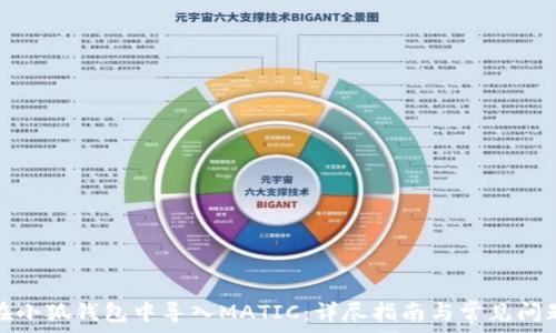  
如何在小狐钱包中导入MATIC：详尽指南与常见问题解答