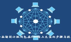 全面解析小狐钱包在BSC链上充值的步骤与技巧