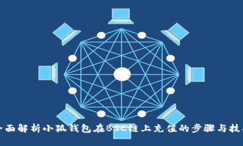 全面解析小狐钱包在BSC链上充值的步骤与技巧