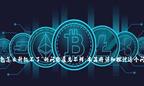 可能的原因和解决方案

在现代数字钱包中，用户常常面临一些技术问题，其中“小狐钱包怎么升级不了”的问题屡见不鲜。本篇将详细探讨这个问题的可能原因，并给出解决方案，帮助用户顺利解决升级问题。

小狐钱包升级遇到问题？解析原因与解决方案