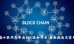 如何在小狐钱包中为BSC添加代币：全面指南与实