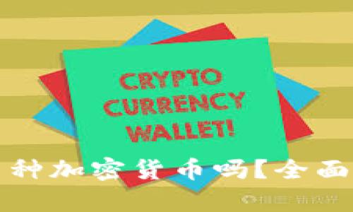 小狐钱包支持多种加密货币吗？全面解析与使用指南