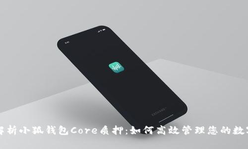 全面解析小狐钱包Core质押：如何高效管理您的数字资产