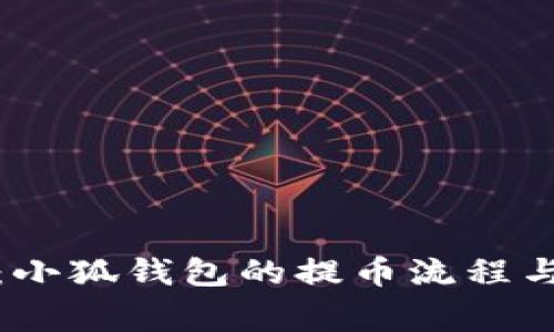 全面解析：小狐钱包的提币流程与注意事项