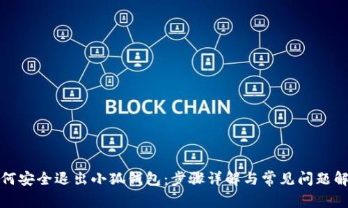 如何安全退出小狐钱包：步骤详解与常见问题解答