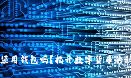 比特币充值必须用钱包吗？揭开数字货币的秘密与使用指南