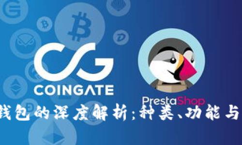  比特币钱包的深度解析：种类、功能与使用指南