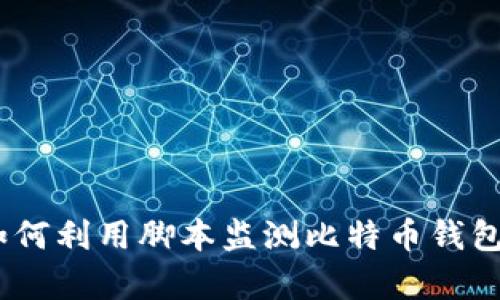 深度解析：如何利用脚本监测比特币钱包的动态变化