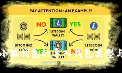 全面解析小狐钱包的导入钱包类型与使用指南