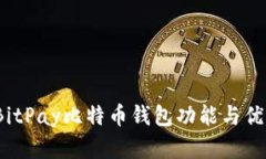 深度解析：BitPay比特币钱包功能与优势全面剖析