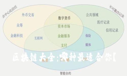 区块链大全：哪种最适合你？